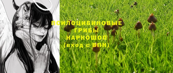 дурь Балахна