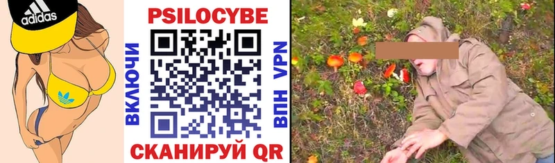 купить закладку  Беслан  Галлюциногенные грибы GOLDEN TEACHER 